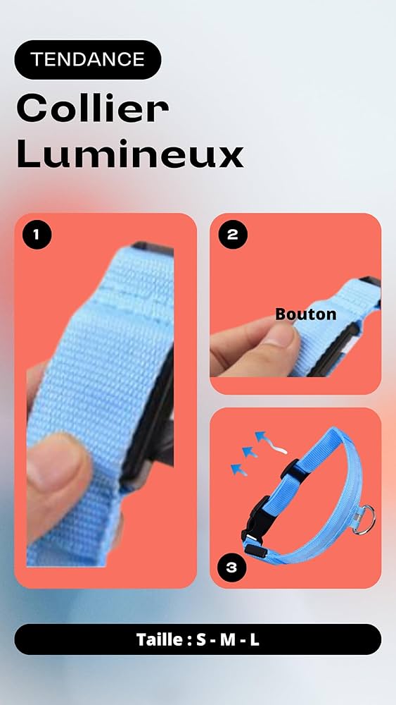 PARENCE - Collier Lumineux pour Chien Taille M, 3 Modes d'Eclairage/Collier LED pour Animaux avec Boucle d'attache et Fermeture à Clipser
