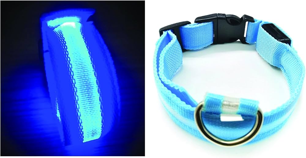 PARENCE - Collier Lumineux pour Chien Taille M, 3 Modes d'Eclairage/Collier LED pour Animaux avec Boucle d'attache et Fermeture à Clipser
