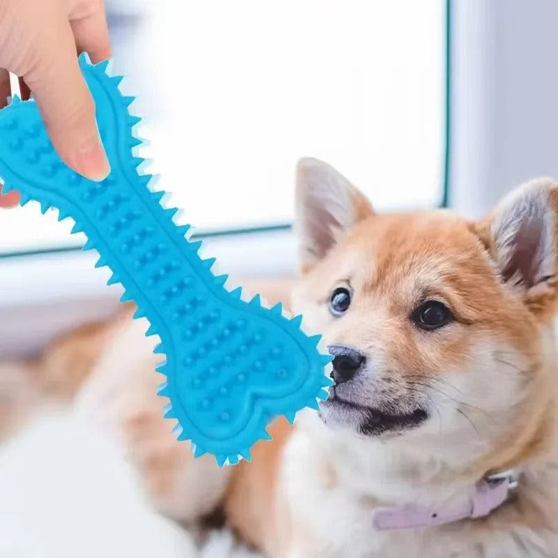 Jouet à Mâcher en Caoutchouc Souple - Forme Sophia - Résistant aux Morsures - Meulage des Dents - Jouet d'Entraînement pour Petits Chiens