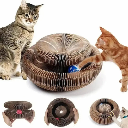 Griffoir pour Chat - Planche d'Orgue Magique - Carton Ondulé - Jouet Interactif avec Balle - Pliable et Modulable - Respectueux de l'Environnement